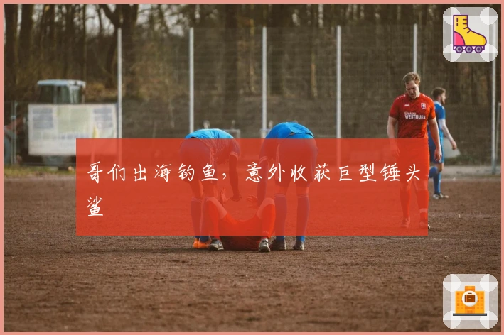 哥们出海钓鱼，意外收获巨型锤头鲨