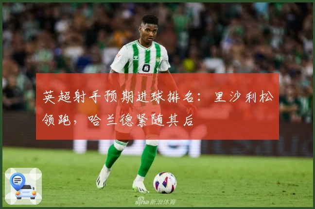 英超射手预期进球排名：里沙利松领跑，哈兰德紧随其后